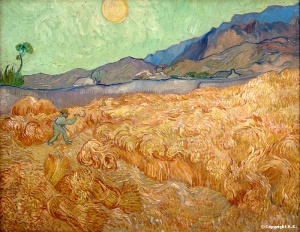 Vincent Van Gogh, Champ de blé avec un faucheur, 1889, 92 cm x 73 cm, huile sur toile, disponible sur: http://www.insecula.com/oeuvre/O0021396.html