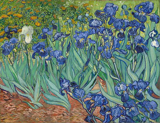 Les Iris | Vincent Van Gogh, peintre fou?